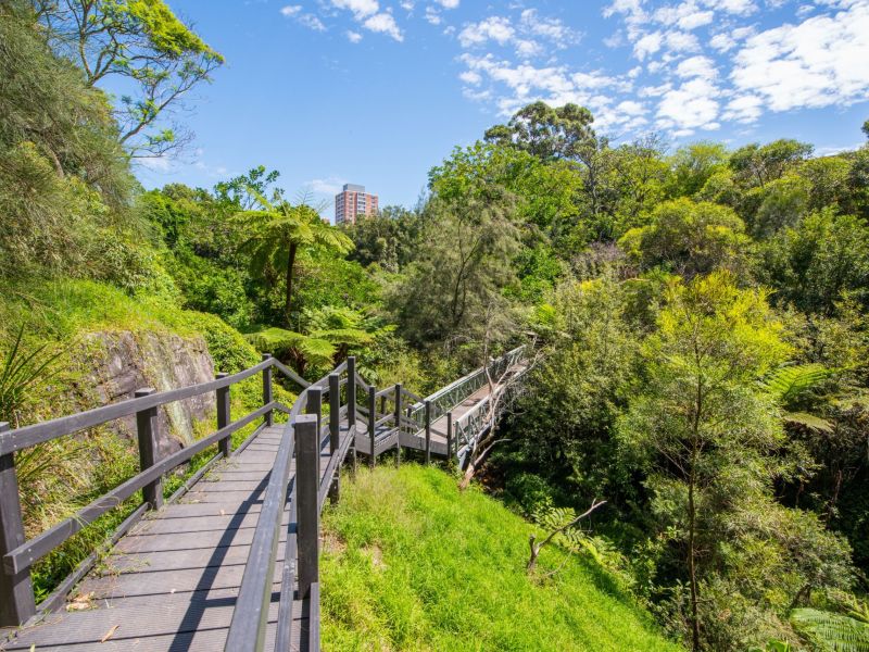 Completion of the boardwalk upgrade at Fred Hollows Reserve, Randwick.